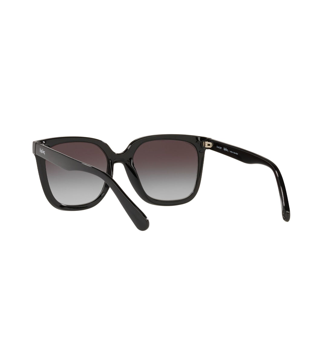 Gafas de Sol Kipling KP4068 I674