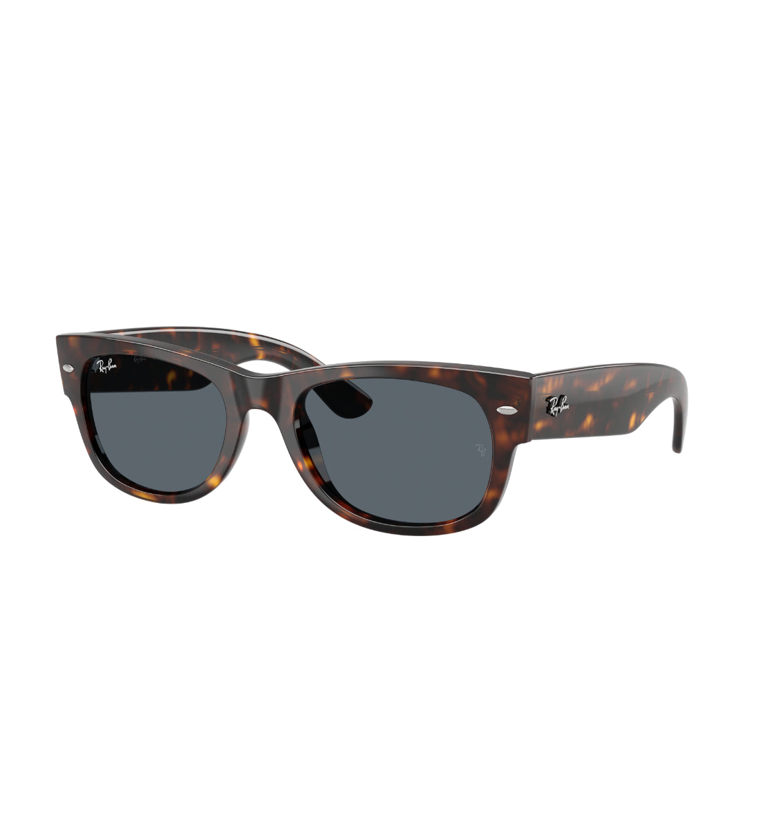 Ray-Ban MEGA WAYFARER II – Gafas de Sol