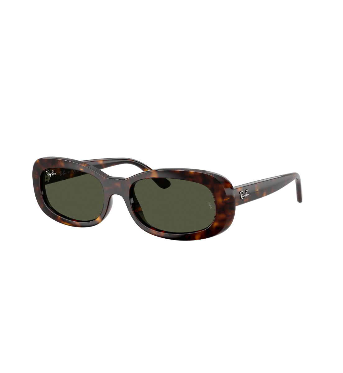 Gafas de Sol Ray-Ban RB2221 90231