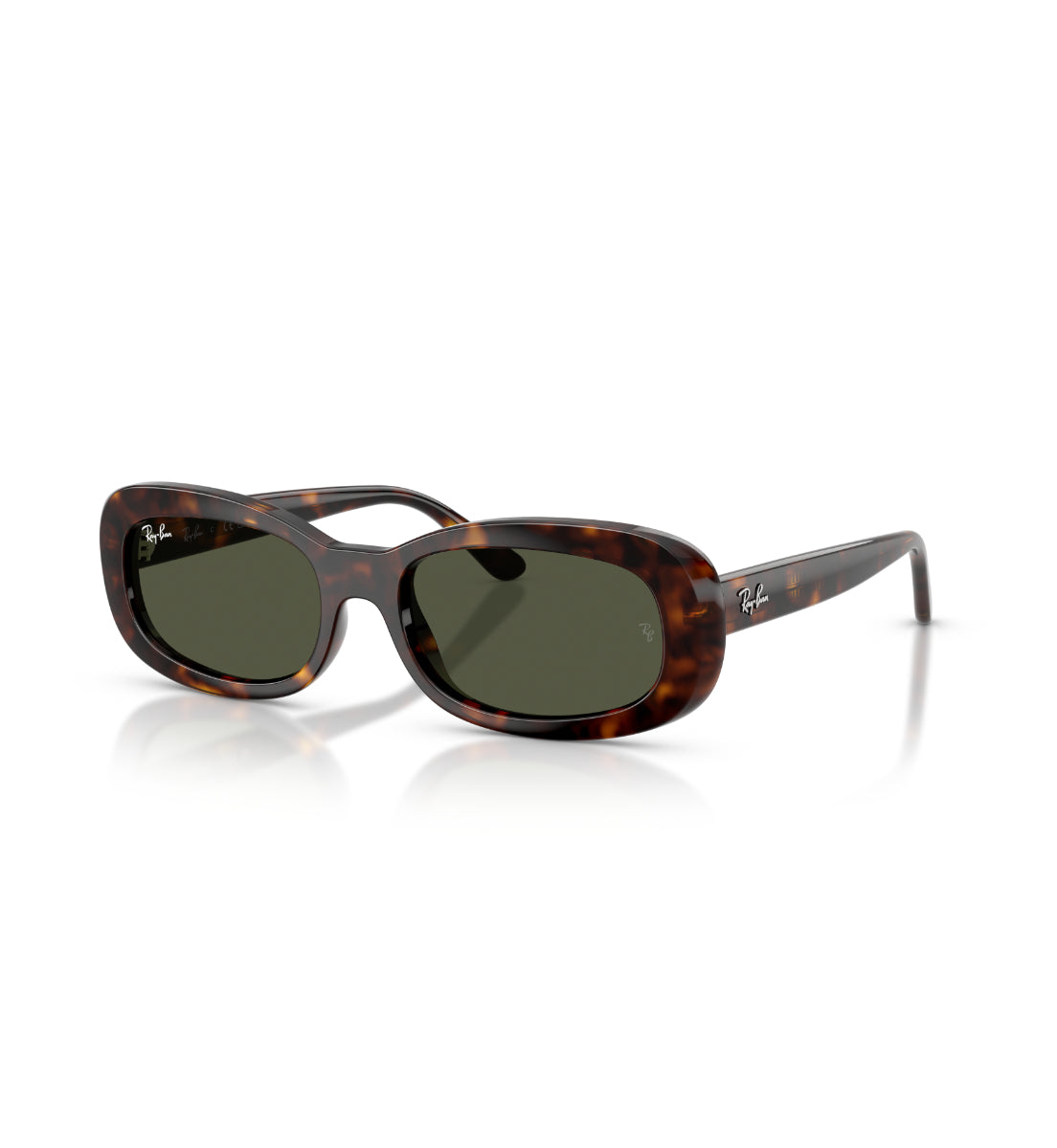 Gafas de Sol Ray-Ban RB2221 90231