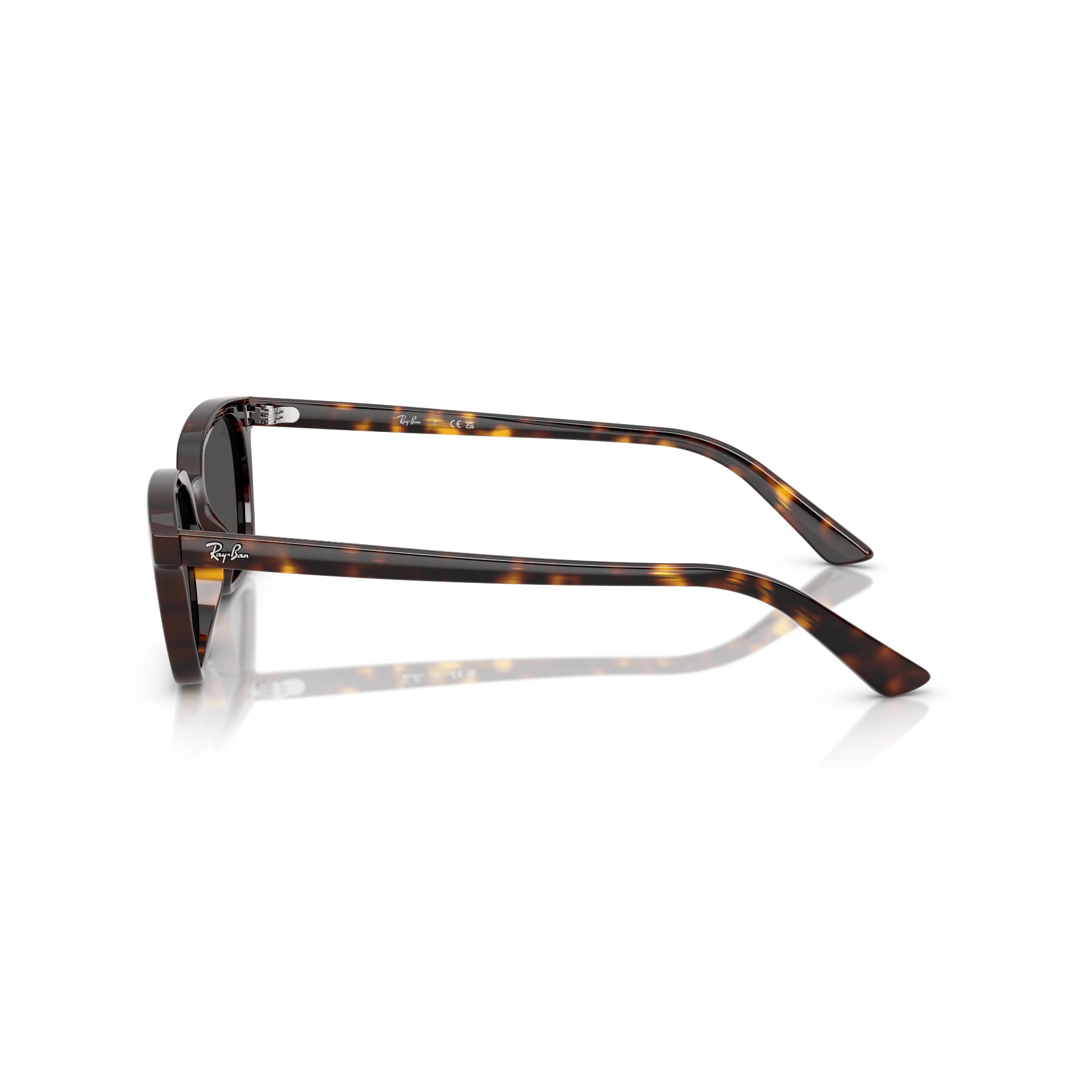 Ray-Ban Zaya – Gafas de Sol