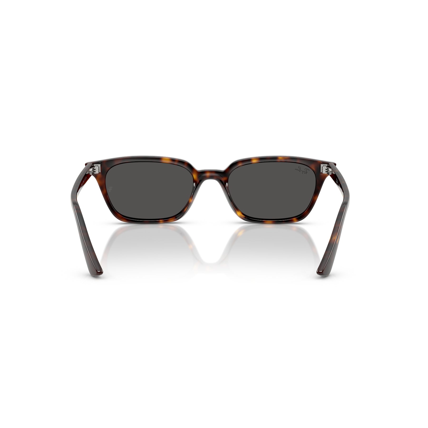 Ray-Ban Zaya – Gafas de Sol