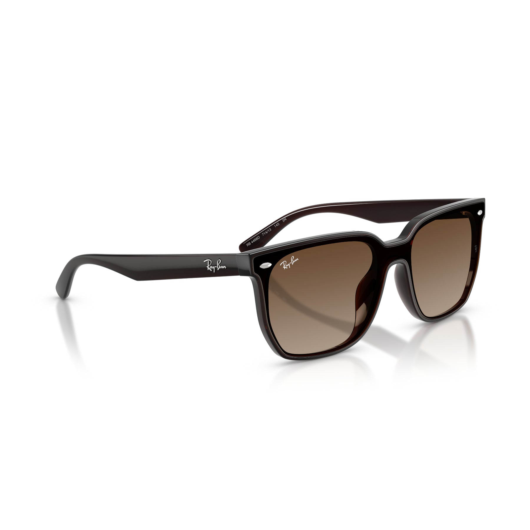 Ray-Ban RB4466D – Gafas de Sol