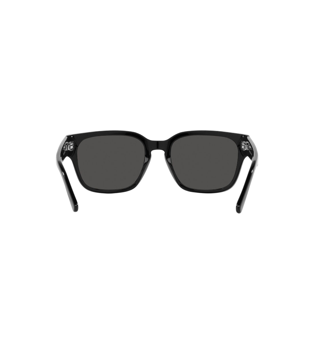 Gafas de Sol Arnette Type Z AN429412148754