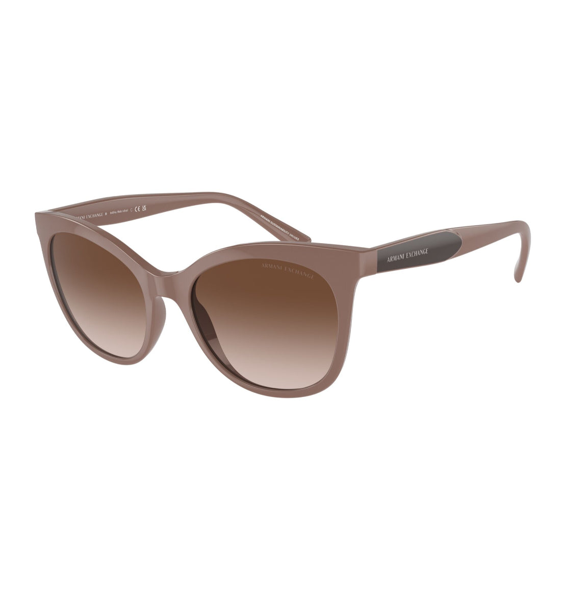 Gafas de Sol Armani Exchange AX4094 S834213