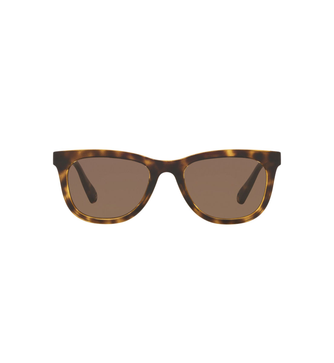 Gafas de Sol Kipling KP4065 H858