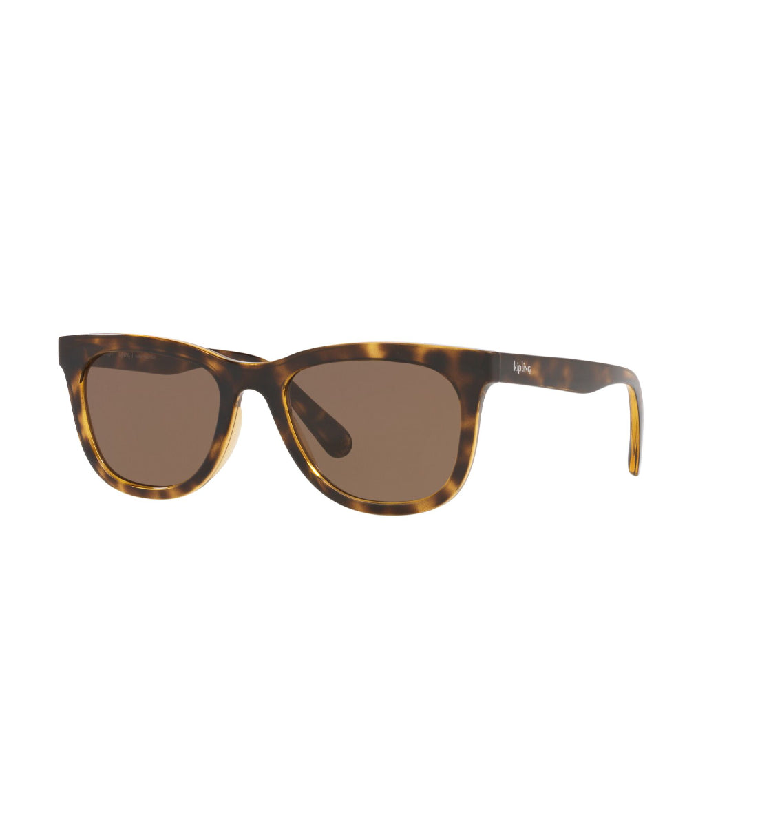 Gafas de Sol Kipling KP4065 H858