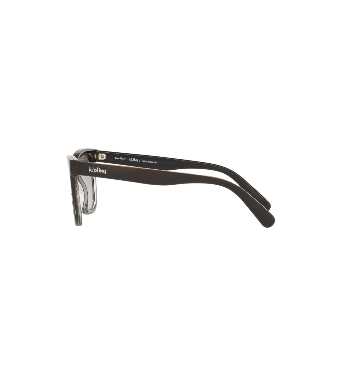 Gafas de Sol Kipling KP4066 I038