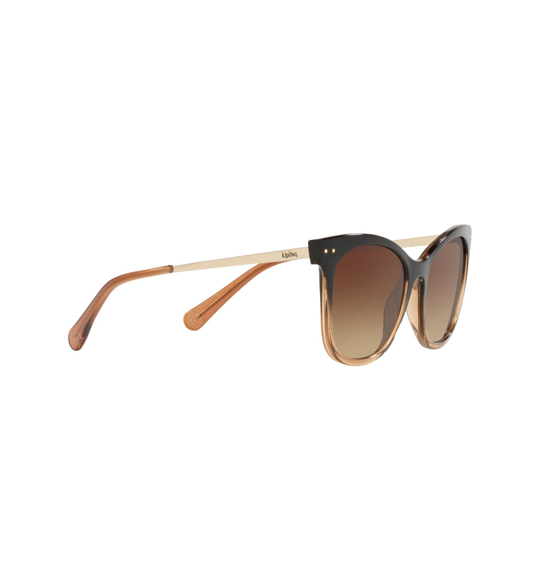 Gafas de sol Kipling KP4067 Negro