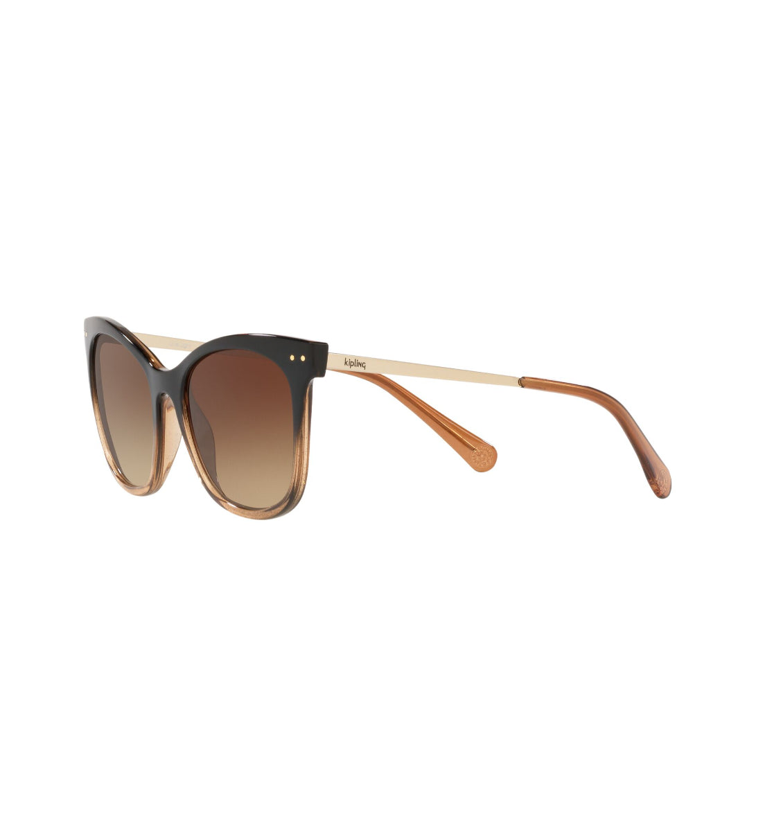Gafas de sol Kipling KP4067 Negro