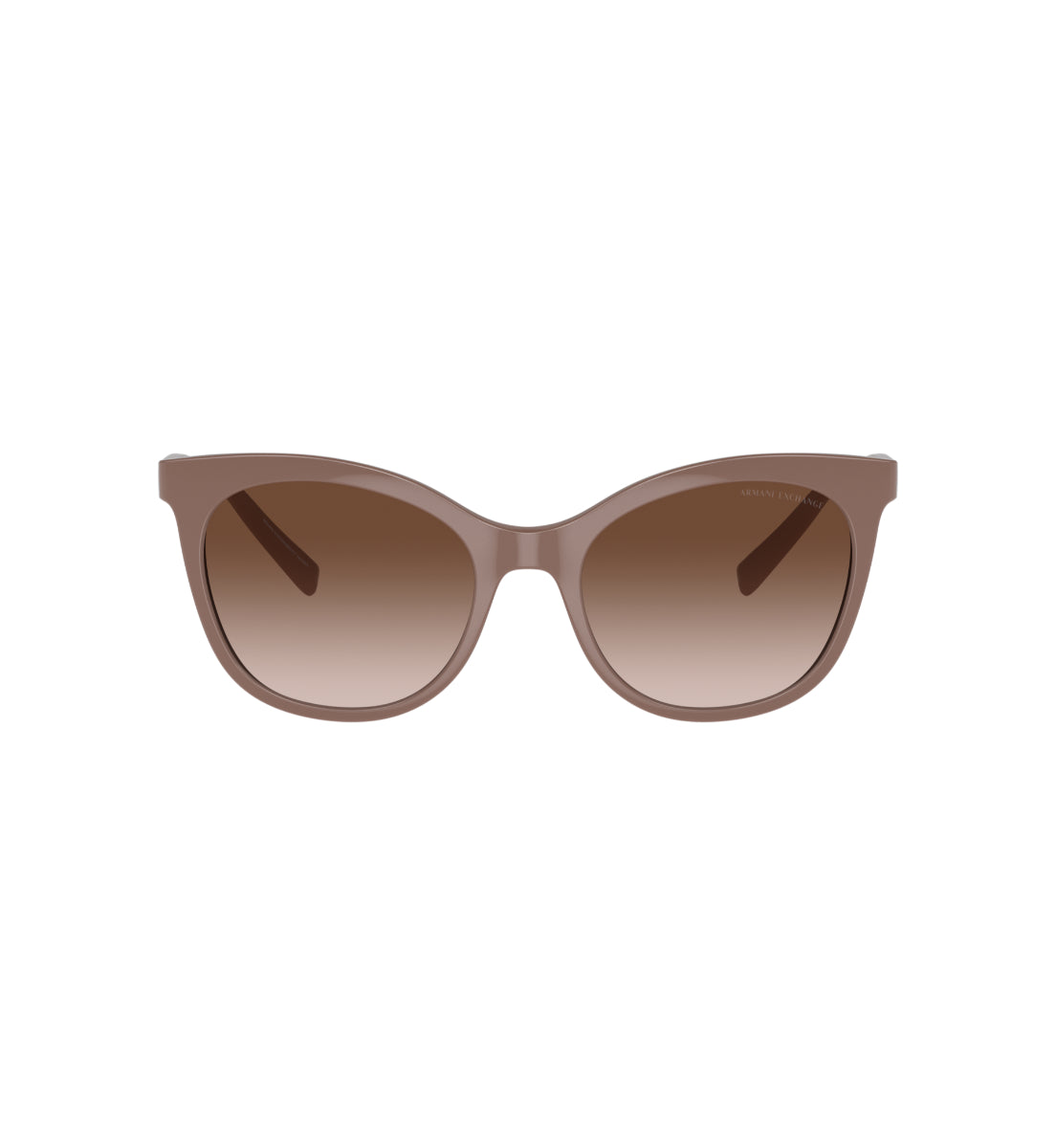 Gafas de Sol Armani Exchange AX4094 S834213