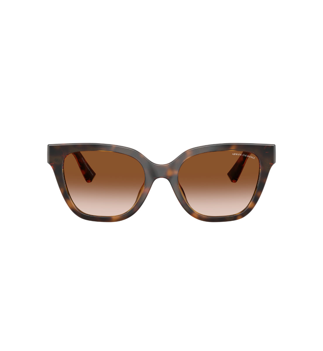 Gafas de Sol Armani Exchange AX4164SU AX4164 821313 53