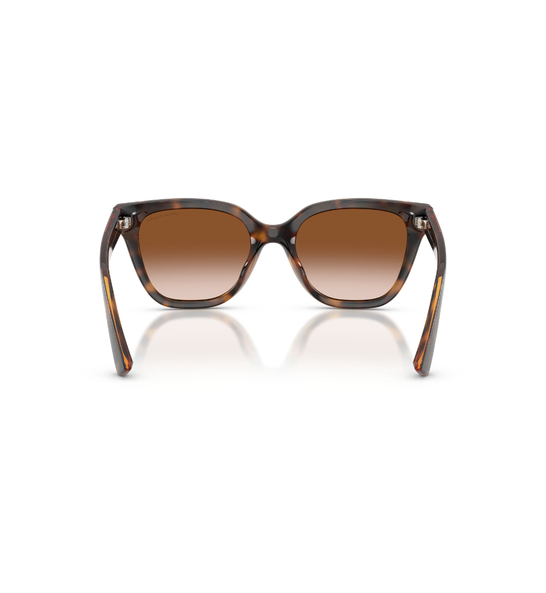 Gafas de Sol Armani Exchange AX4164SU AX4164 821313 53