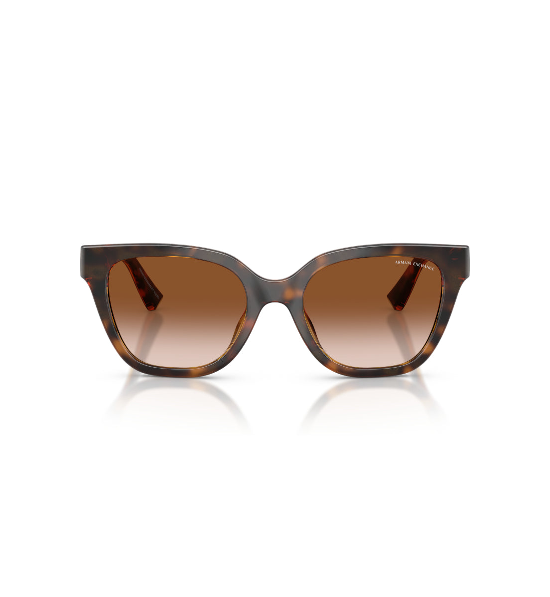 Gafas de Sol Armani Exchange AX4164SU AX4164 821313 53