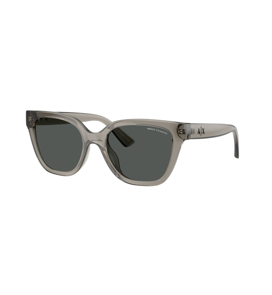 Gafas de Sol Armani Exchange AX4164SU AX4164 839487 53