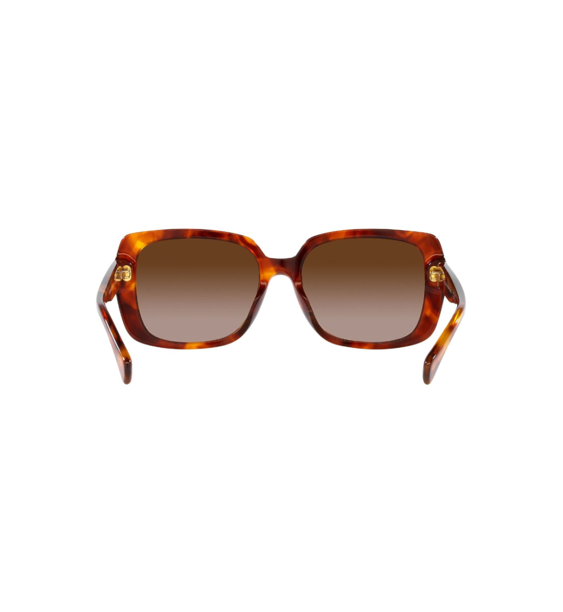 Gafas de sol Shiny Orange Havana Ralph