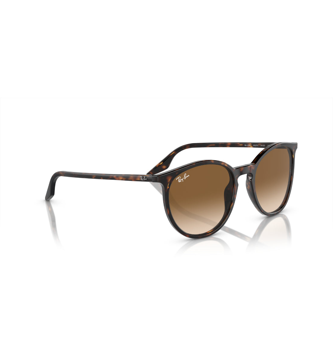 Gafas de Sol Ray-Ban RB2204 90251