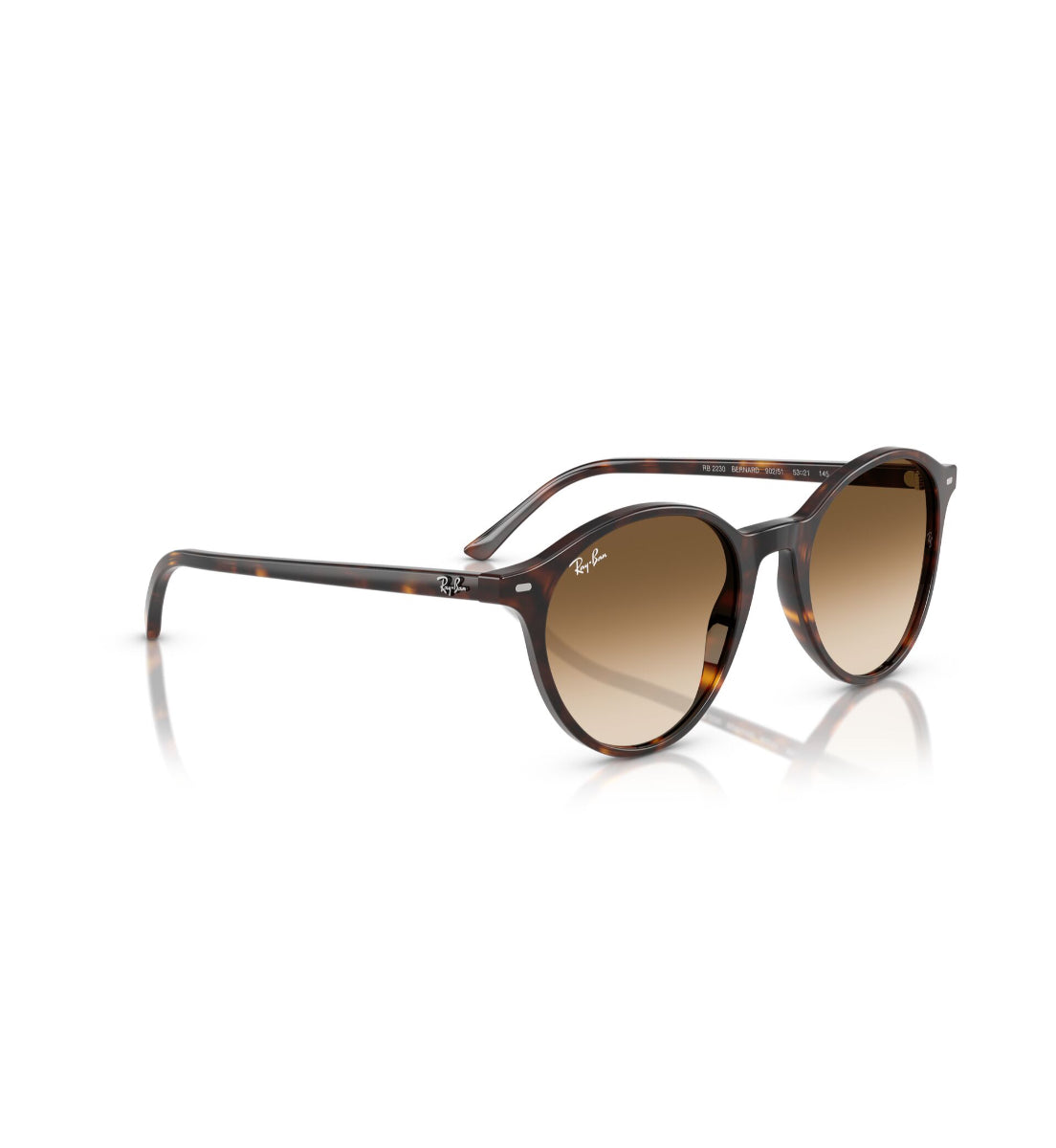 Gafas de Sol Ray-Ban Bernard RB2230 902/51 51