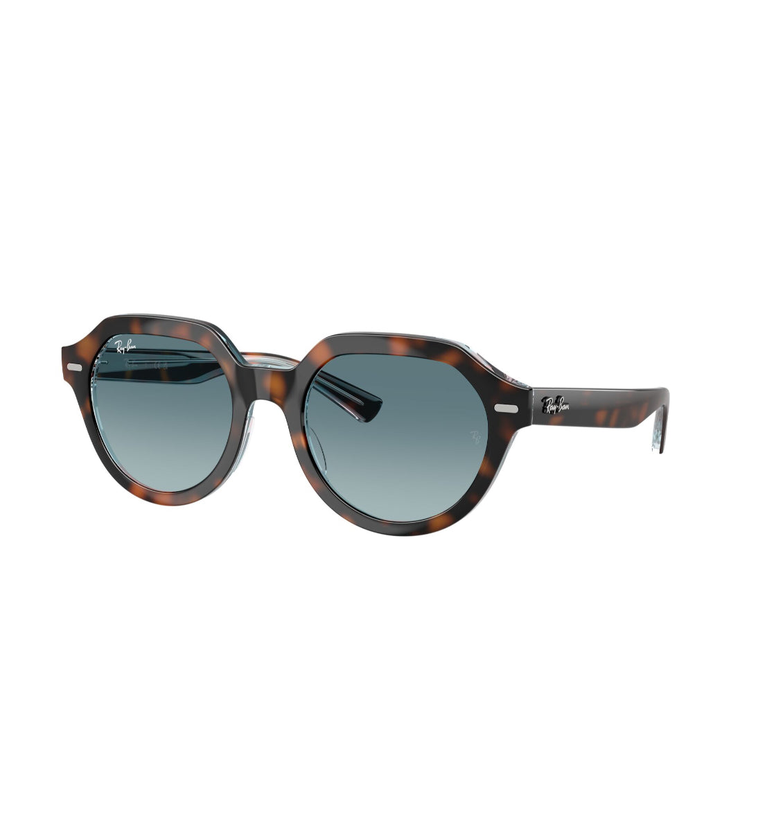 Gafas De Sol Gina Havana Oscuro Ray-Ban