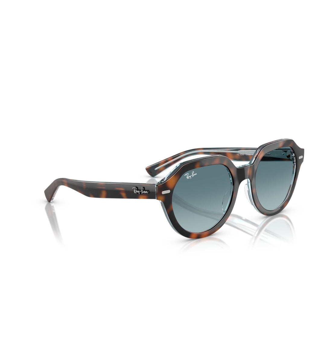 Gafas De Sol Gina Havana Oscuro Ray-Ban