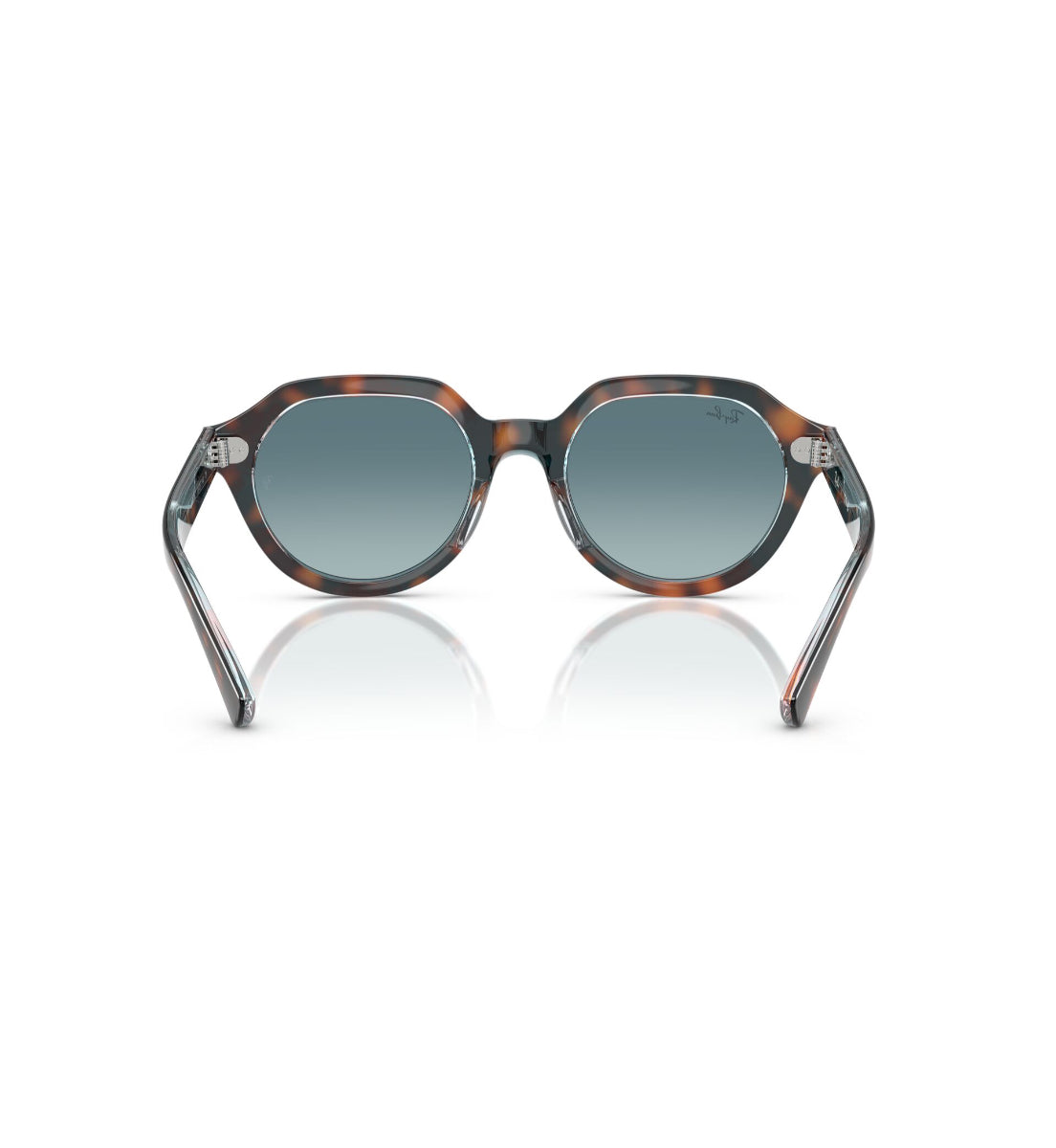 Gafas De Sol Gina Havana Oscuro Ray-Ban