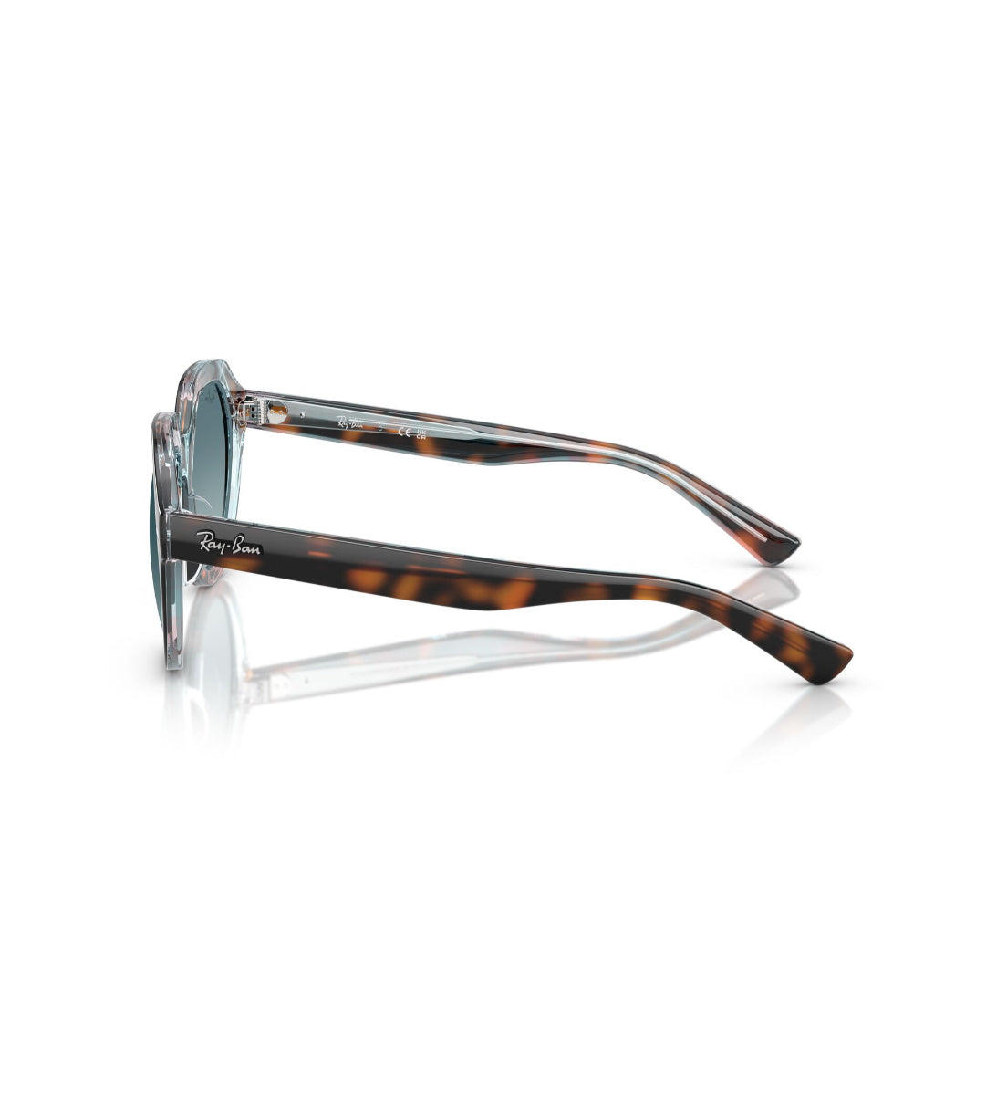 Gafas De Sol Gina Havana Oscuro Ray-Ban