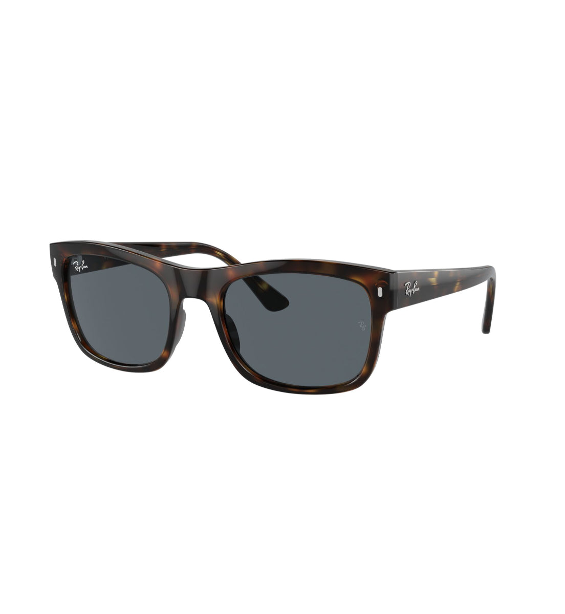 Ray-Ban Gafas de Sol