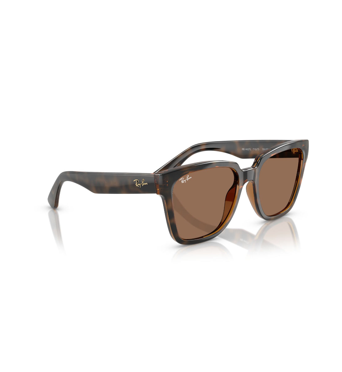 Gafas De Sol RB4437 Havana Oscuro Ray-Ban