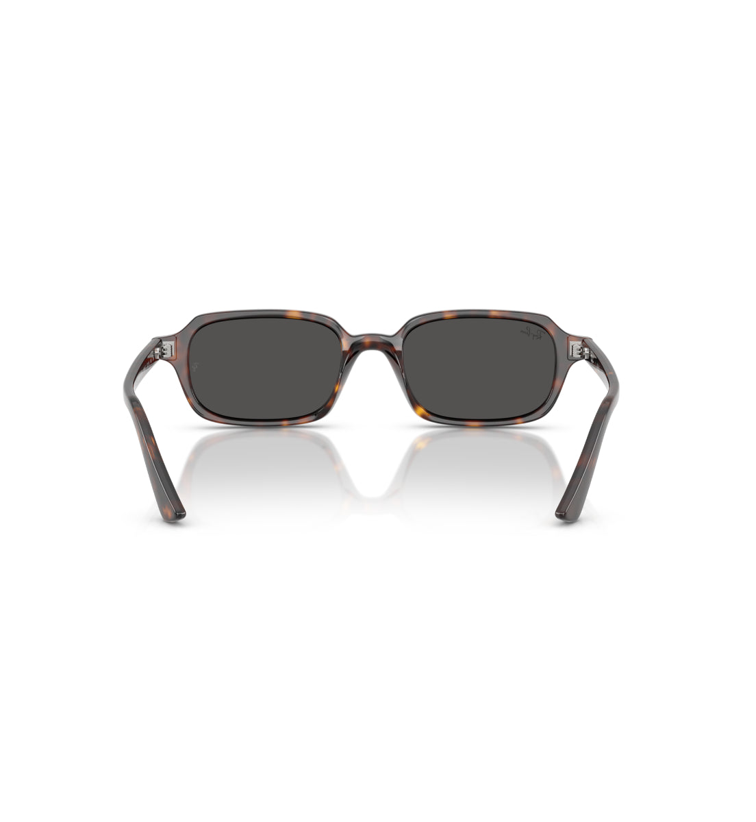 NOVEDAD - Ray-Ban Zuri