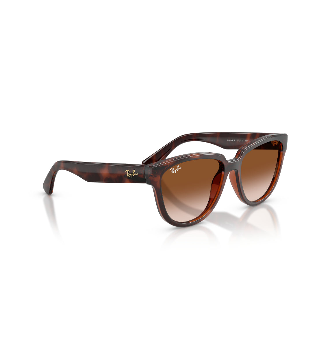 Gafas de Sol Ray-Ban RB4463L L71013