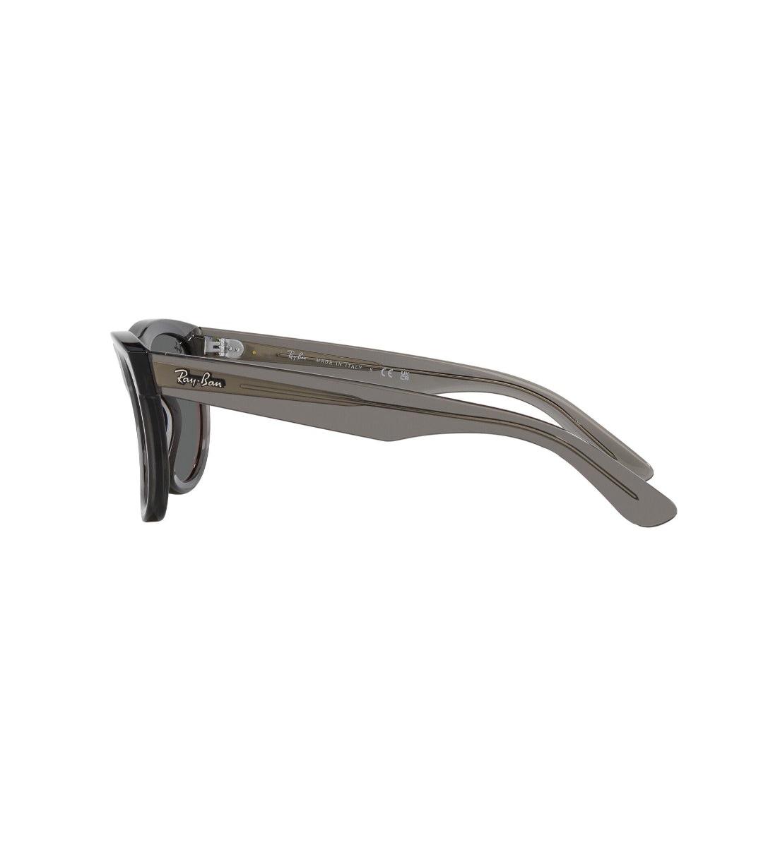 Ray-Ban Wayfarer Reverse