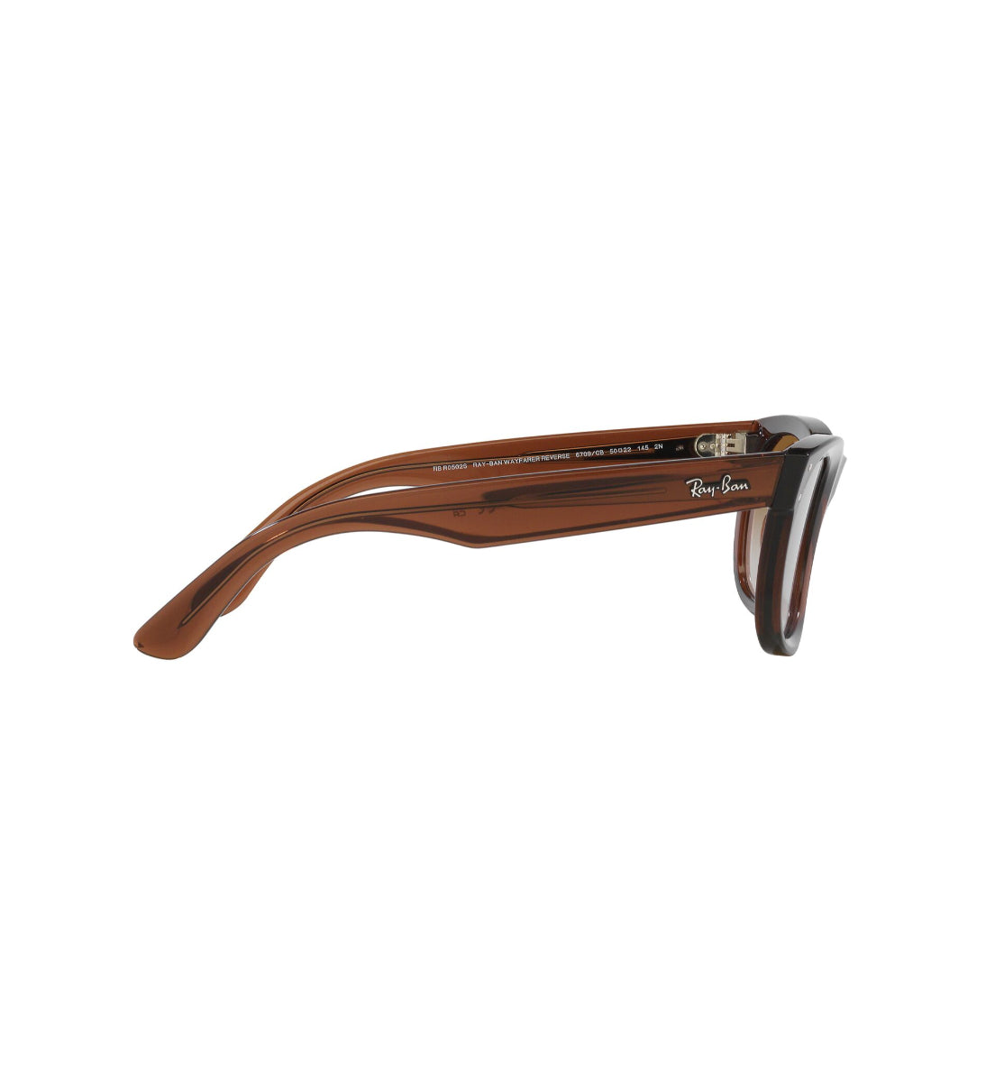 Ray-Ban Wayfarer Reverse