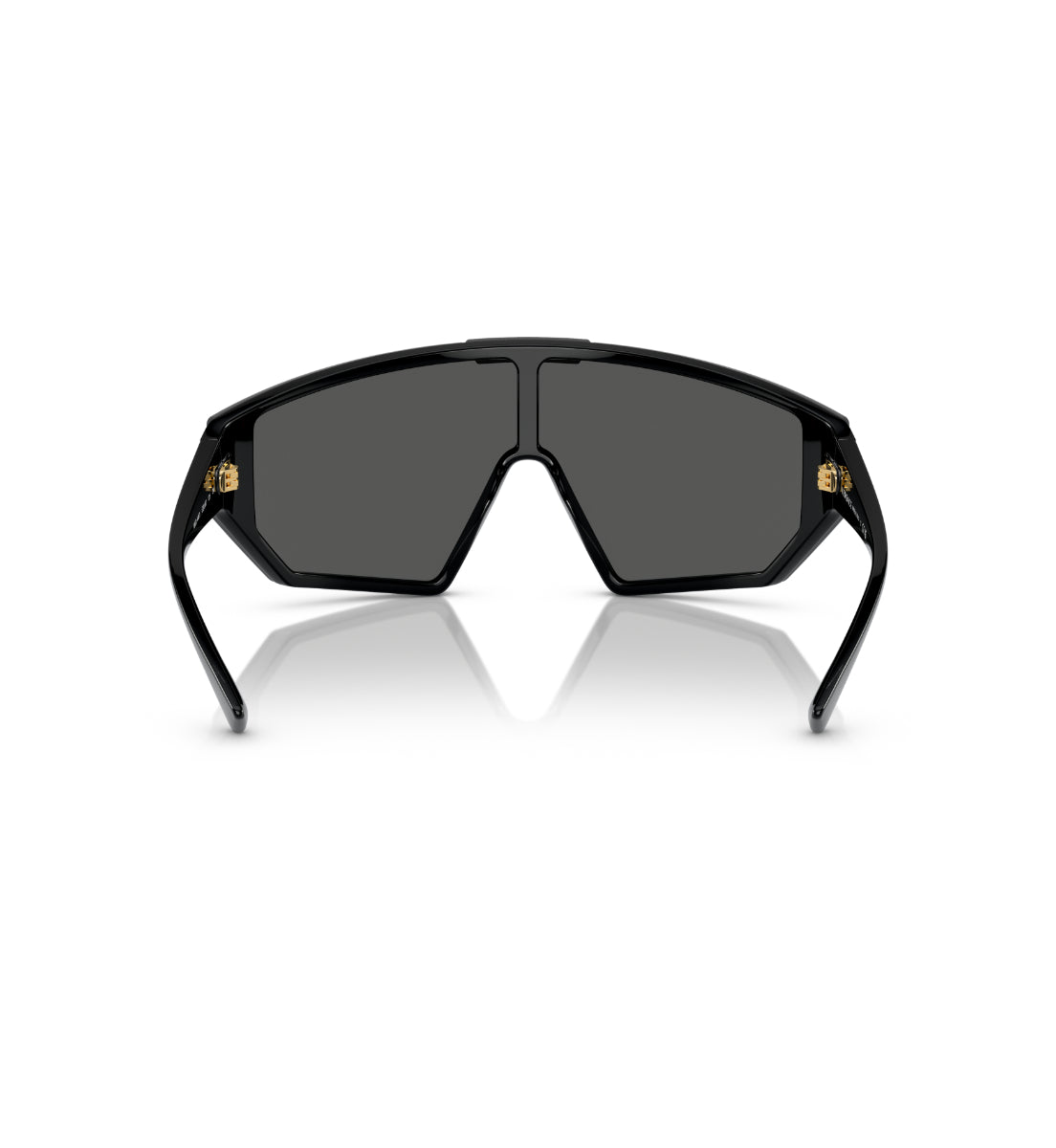 Versace VE4461 – Gafas de Sol